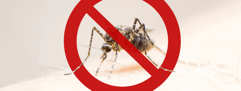 testes rápidos para triagem e diagnóstico da dengue: família Dengue Check